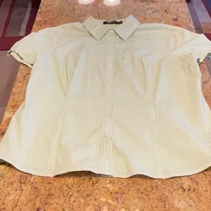 The Limited Essential button down shirt